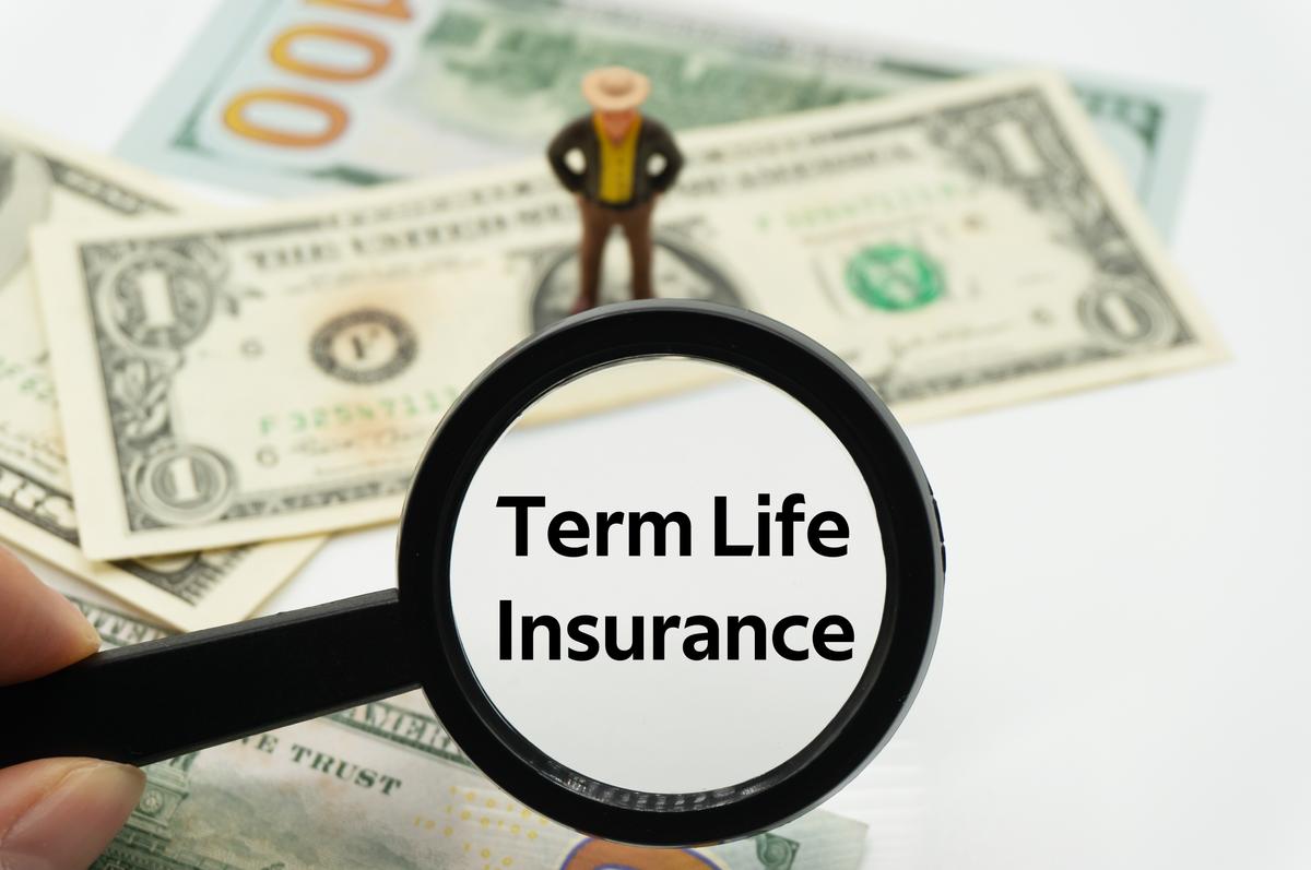 term insurance riders