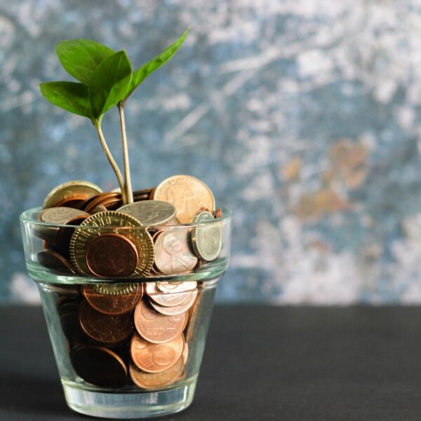 SIP calculator for 10000 per month investment growth and wealth creation